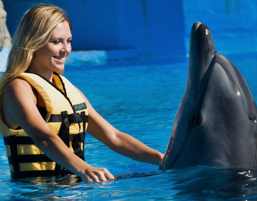 SWIMMING WITH DOLPHIN