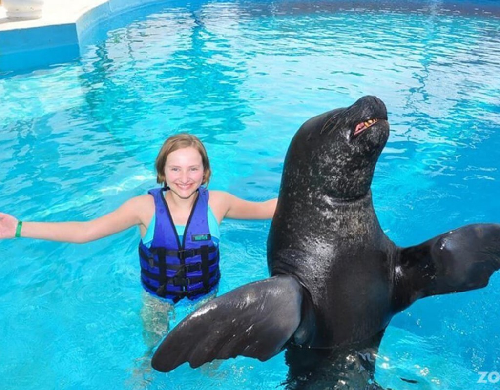 SWIMMING WITH DOLPHIN