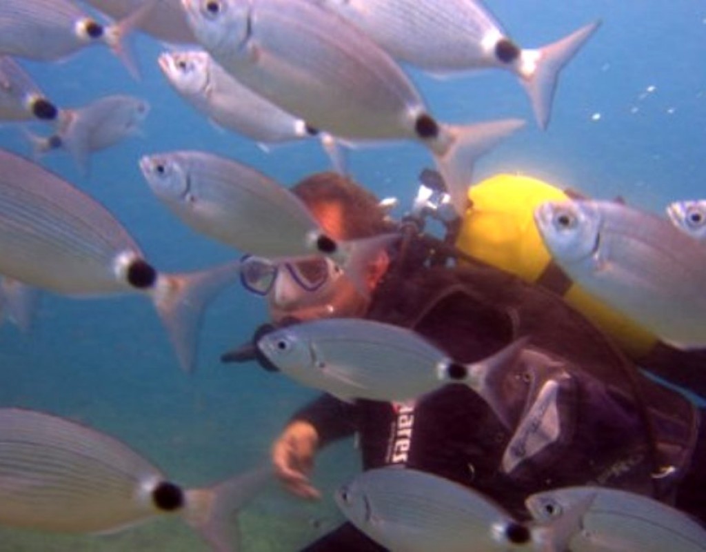 DIVING ALANYA